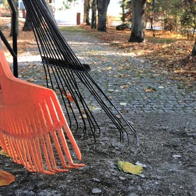 Daj sobie szansę na duchowej siłowni Daj sobie szansę na duchowej siłowni