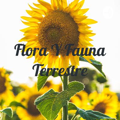 Flora y Fauna terrestre