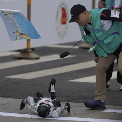 Fringey Mini: Robot Race