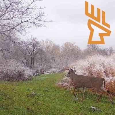 EP217 Whitetail Deer Master Class Event, Elevate Your Hunting Game