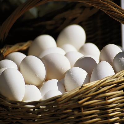 Karwoche und Ostern