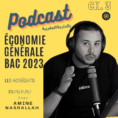 Ch 3: les agrégats : les Revenus