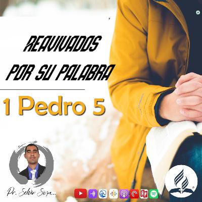 RPSP Reavivados por Su Palabra – 1 Pedro 5 – Pr. Selvin Sosa 🕮