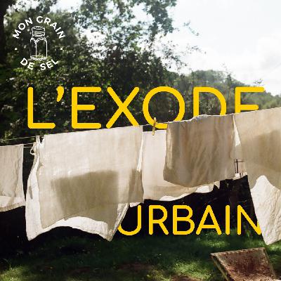 #9 - L'exode urbain, quitter la ville pour la campagne