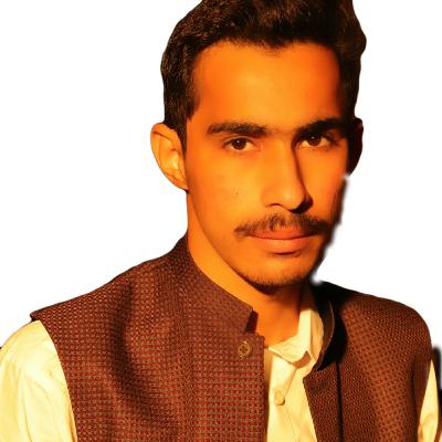 Skills vs University programs