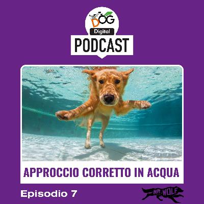 Il corretto approccio all'acqua Il corretto approccio all'acqua