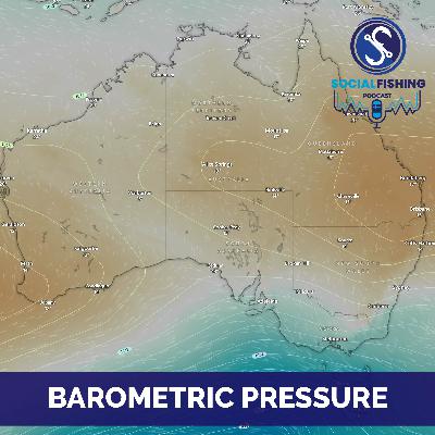 Ep98 - Part 1: Unlocking Barometric Pressure - Understanding Swim Bladders and Dissolved Oxygen in Water