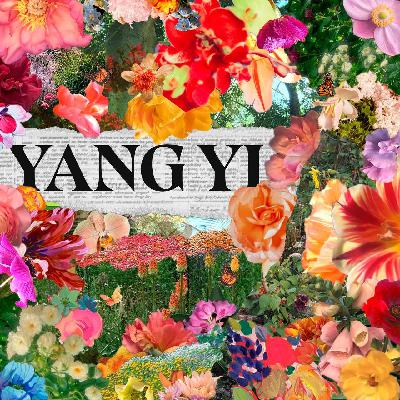 你有一张邀请函 | 杨一的花园，请你来玩