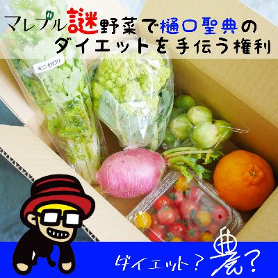 #231　ギチ完BASEの企画商品が規定口数に達しましたのでダイエット支援BOXお送りしておきました♪