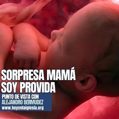 Hoy en Punto de Vista: Sorpresa Mamá - Soy provida