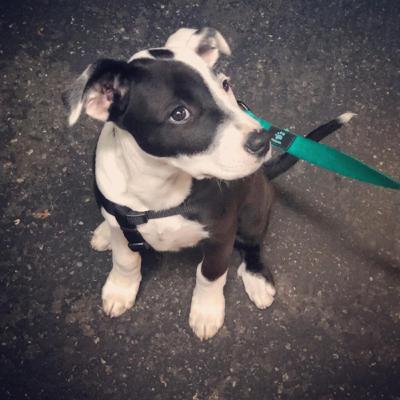 Don’t Vomit on Livestream or Social Media