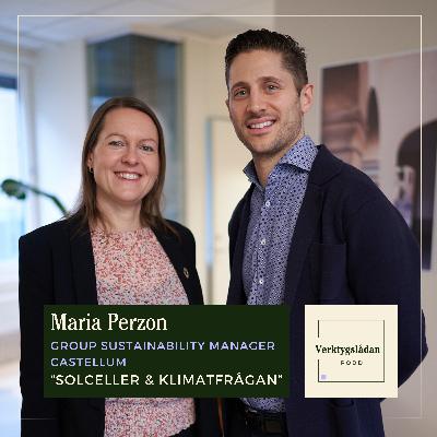 Maria Perzon, Solceller & Klimatfrågan