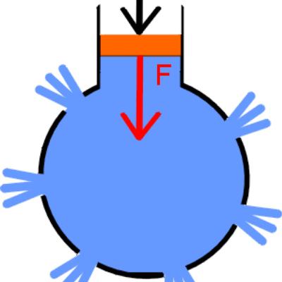 EL PRINCIPIO DE PASCAL