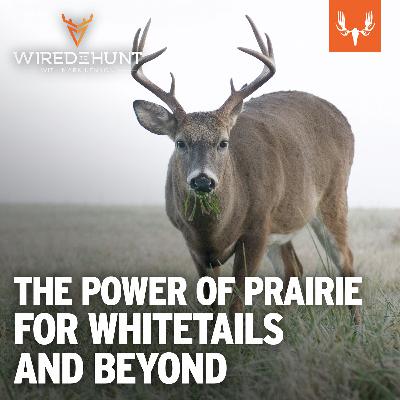 Ep. 1010: The Power of Prairie for Whitetails and Beyond with Kent Boucher and Nicolas Lirio