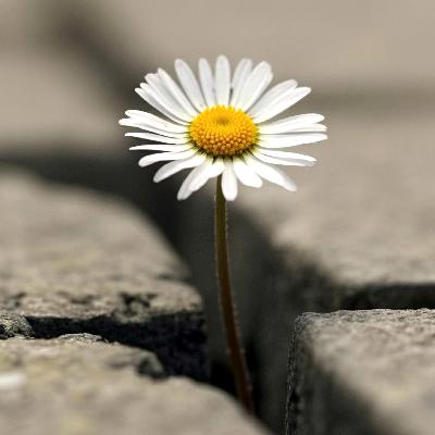 Tough Love Builds Grit and Accountability