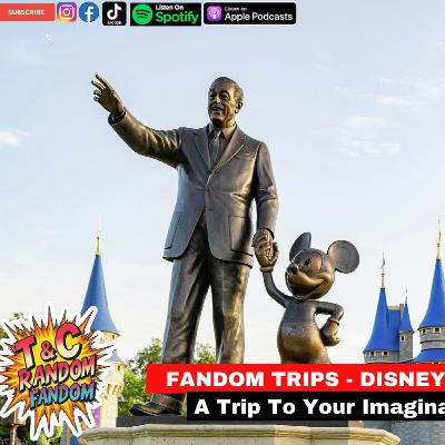 Fandom Trips - Disney Theme Parks