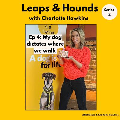 4. Help! My dog dictates where we walk @leapsandhoundspodcast 4. Help! My dog dictates where we walk @leapsandhoundspodcast