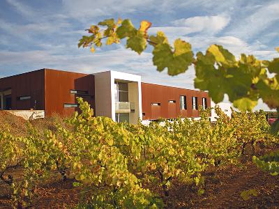 Vinos con leyenda en León