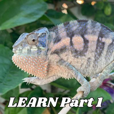 The Challenge of Learning About Chameleons