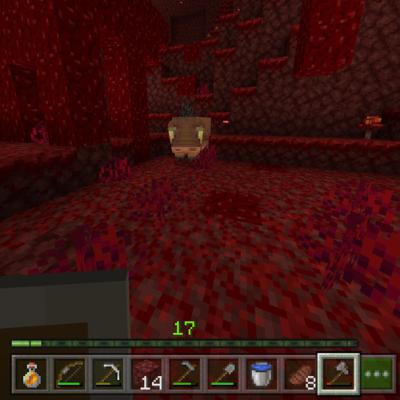 #20 Unsere Welt: Im Nether #20 Unsere Welt: Im Nether