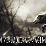Os Diários Esquecidos - Histórias de Terror