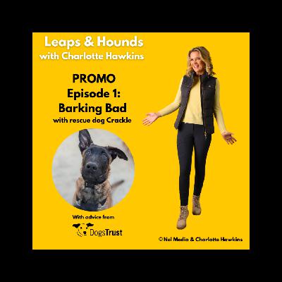 PROMO: Leaps and Hounds with Charlotte Hawkins episode 1: Barking Bad PROMO: Leaps and Hounds with Charlotte Hawkins episode 1: Barking Bad