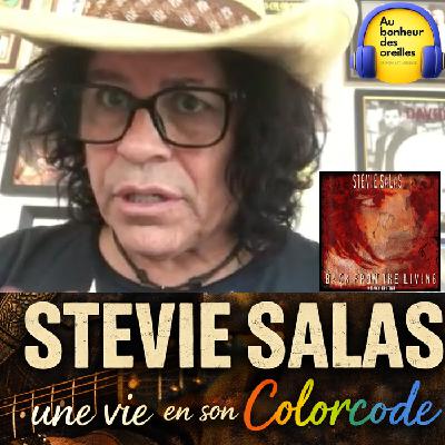 #48 Au Bonheur des Oreilles – Stevie Salas : une vie en son Colorcode