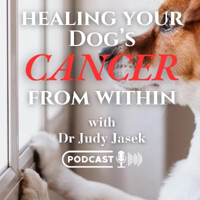 Healing your Dog's Cancer from Within with Dr Judy Jasek