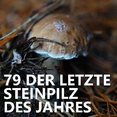 #79 Der letzte Steinpilz des Jahres