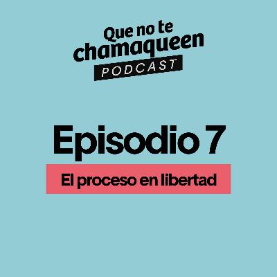 T2E7 - El proceso en libertad