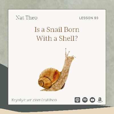 Is a Snail Born With a Shell? Lesson 93