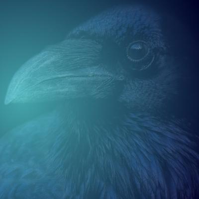 #LiczbyDnia: Kruk ląduje po wynikach, Columbus w "Uwadze", 3 liderów sWIG80 i bilans tygodnia w Warszawie