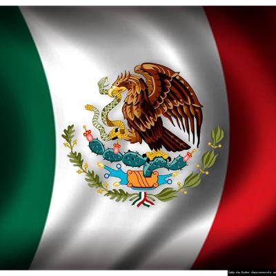 24 de febrero