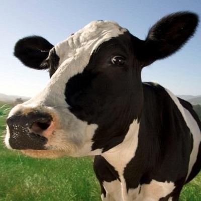 Part 31 - 12th फेल - हारा वही जो लड़ा नहीं - 12th Fail - Hindi Novel - Inspiring & Motivational Part 31 - 12th फेल - हारा वही जो लड़ा नहीं - 12th Fail - Hindi Novel - Inspiring & Motivational