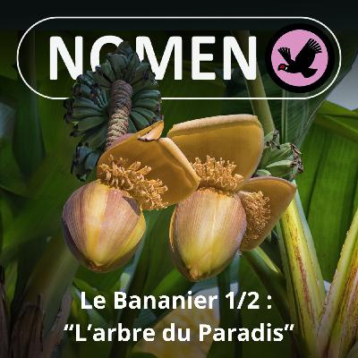 S05E08 Le Bananier 1/2 : "L'arbre du Paradis"