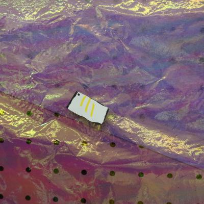 言葉を生やし始めます