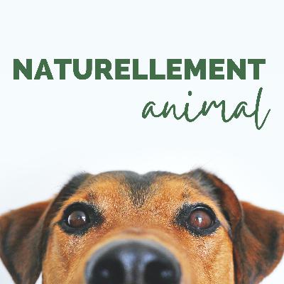 1. De vétérinaire à phytothérapeute - Interview Dr Christine Jaunet