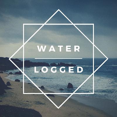 Chlorinated Introspection