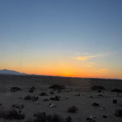Salah and the worst kind of theft -Yasmine Mogahed