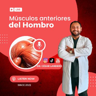 EP15T2 La maquinaria del hombro...Músculos anterior del Hombro