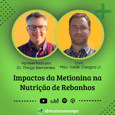 IMPACTOS DA METIONINA NA NUTRIÇÃO DE REBANHOS - MSc. Valdir Chiogna Jr. | Ep. 96 IMPACTOS DA METIONINA NA NUTRIÇÃO DE REBANHOS - MSc. Valdir Chiogna Jr. | Ep. 96