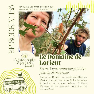 #133 Le Domaine de Lorient 🍇🦇 Ferme Vigneronne Réensauvagée