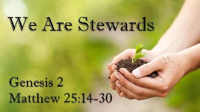 We Are Stewards - Audio