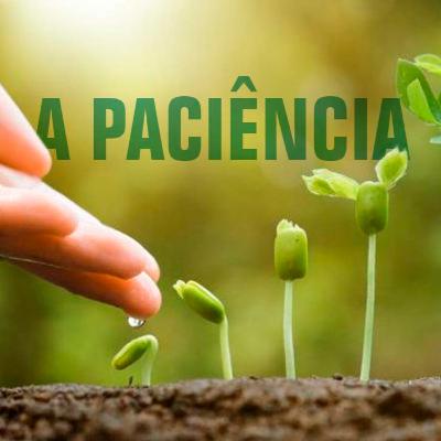 A paciência