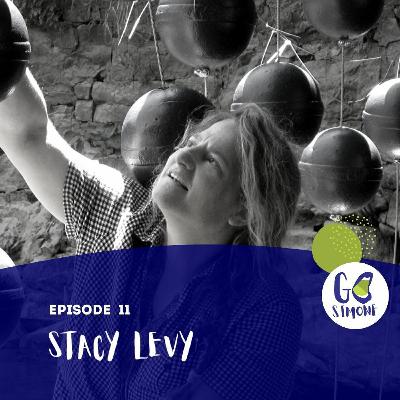 Stacy Levy on combating climate change with land art Stacy Levy on combating climate change with land art