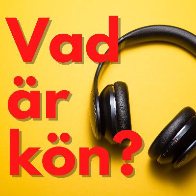 Vad är Kön?