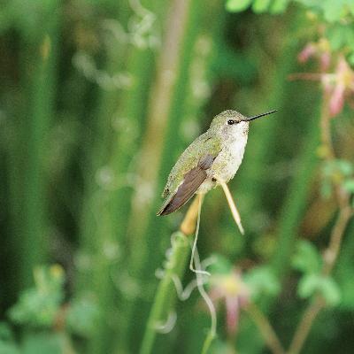 Put Your Hand to the Plow Put Your Hand to the Plow