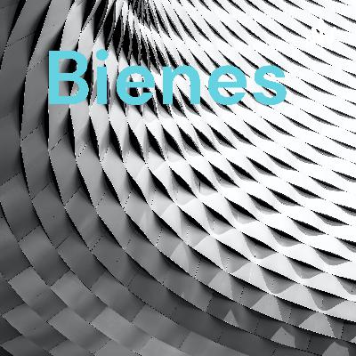 Bienes