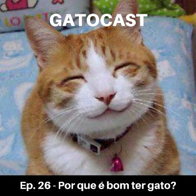 Ep. 26 - Por que é bom ter gato?