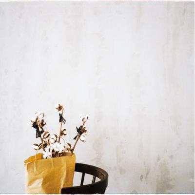 sunday library #37 - American Gods